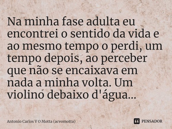 ⁠Na minha fase adulta eu encontrei o sentido da vida e ao mesmo tempo o perdi, um tempo depois, ao perceber que não se encaixava em nada a minha volta. Um violi... Frase de Antonio Carlos V O Motta (acvomotta).