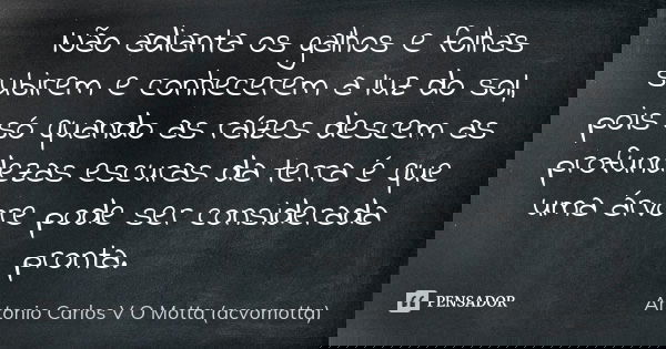Não adianta os galhos e folhas subirem e conhecerem a luz do sol, pois só quando as raízes descem as profundezas escuras da terra é que uma árvore pode ser cons... Frase de Antonio Carlos V O Motta (acvomotta).