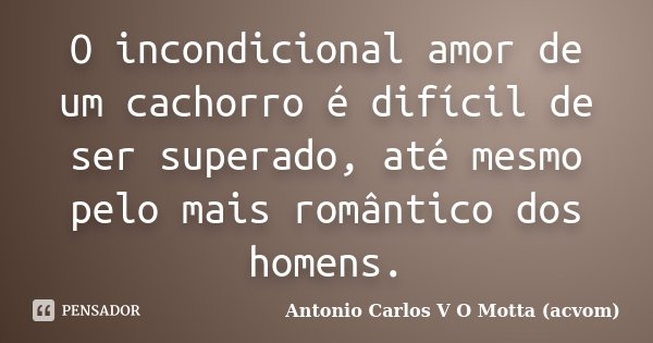 O incondicional amor de um cachorro é difícil de ser superado, até mesmo pelo mais romântico dos homens.... Frase de Antonio Carlos V O Motta (acvom).