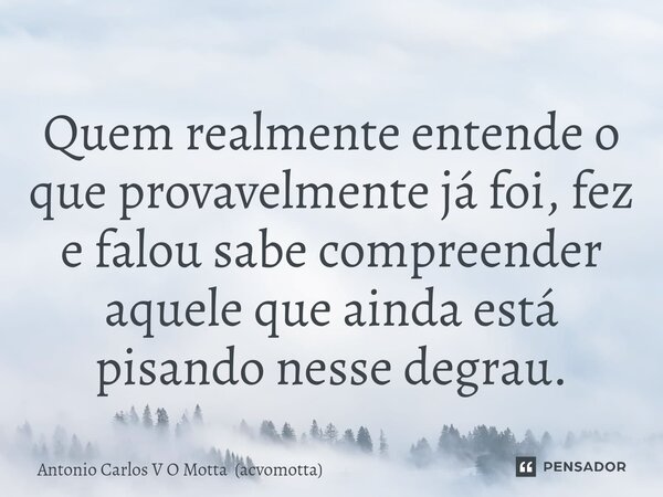 ⁠Quem realmente entende o que provavelmente já foi, fez e falou sabe compreender aquele que ainda está pisando nesse degrau.... Frase de Antonio Carlos V O Motta (acvomotta).