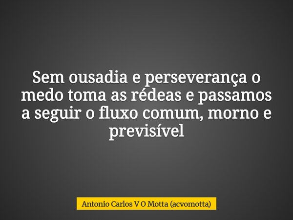 Sem ousadia e perseverança o medo toma as rédeas e passamos a seguir o fluxo comum, morno e previsível... Frase de Antonio Carlos V O Motta (acvomotta).