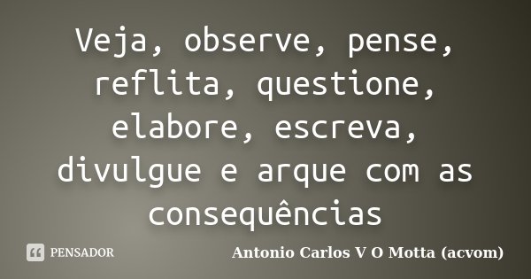 Veja, observe, pense, reflita, questione, elabore, escreva, divulgue e arque com as consequências... Frase de Antonio Carlos V O Motta (acvom).