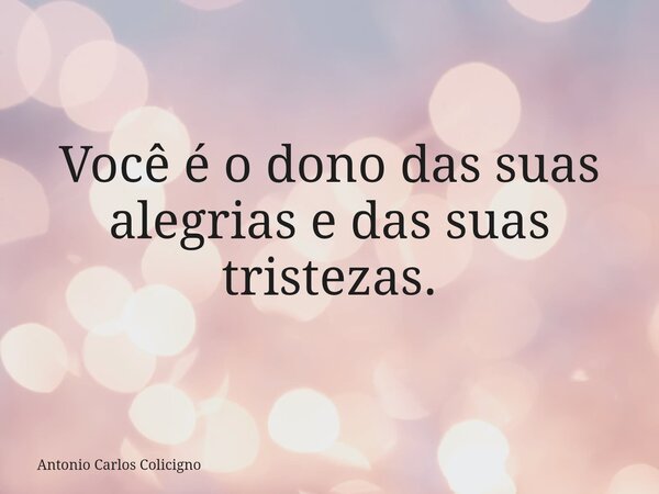 Você é o dono das suas alegrias e das suas tristezas.... Frase de Antonio Carlos Colicigno.