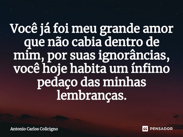 Você já foi meu grande amor que não cabia dentro de mim, por suas ignorâncias, você hoje habita um ínfimo pedaço das minhas lembranças.⁠... Frase de Antonio Carlos Colicigno.