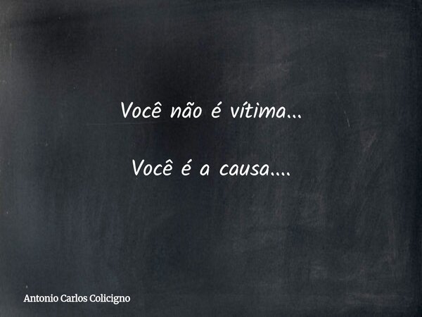 Você não é vítima... Você é a causa....... Frase de Antonio Carlos Colicigno.