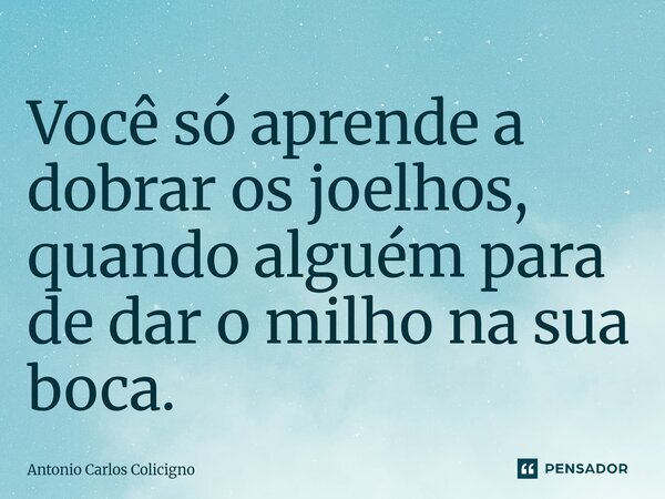 ⁠Você só aprende a dobrar os joelhos, quando alguém para de dar o milho na sua boca.... Frase de Antonio Carlos Colicigno.