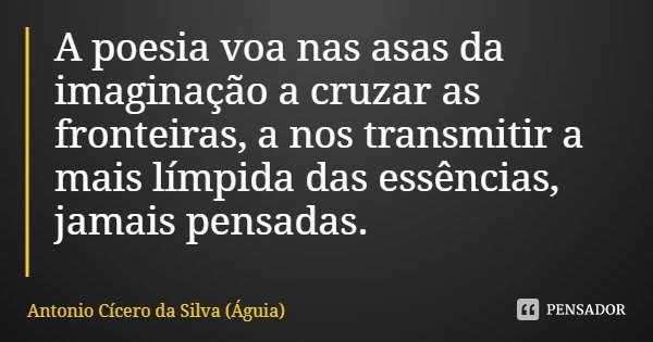 A poesia voa nas asas da imaginação a cruzar as fronteiras, a nos transmitir a mais límpida das essências, jamais pensadas.... Frase de Antonio Cícero da Silva (Águia).