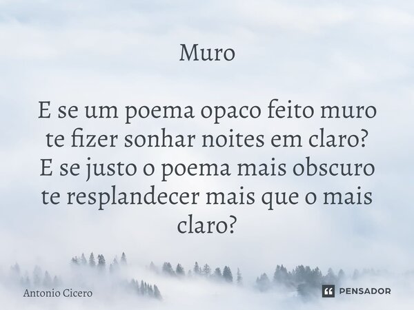 ⁠Muro E se um poema opaco feito muro te fizer sonhar noites em claro? E se justo o poema mais obscuro te resplandecer mais que o mais claro?... Frase de Antonio Cícero.