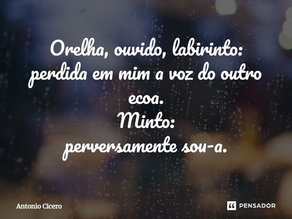 ⁠Orelha, ouvido, labirinto: perdida em mim a voz do outro ecoa. Minto: perversamente sou-a.... Frase de Antonio Cícero.