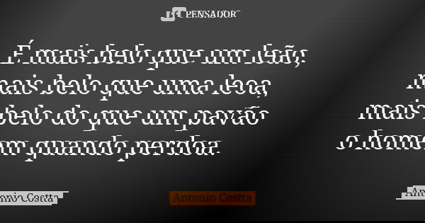 É mais belo que um leão, mais belo que uma leoa, mais belo do que um pavão o homem quando perdoa.... Frase de Antonio Costta.
