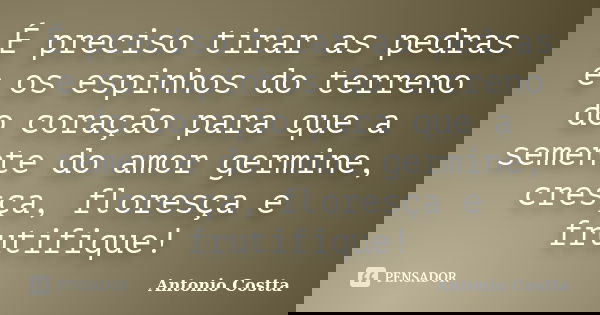 É preciso tirar as pedras e os espinhos do terreno do coração para que a semente do amor germine, cresça, floresça e frutifique!... Frase de Antonio Costta.