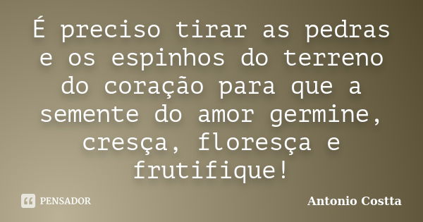 É preciso tirar as pedras e os espinhos do terreno do coração para que a semente do amor germine, cresça, floresça e frutifique!... Frase de Antonio Costta.