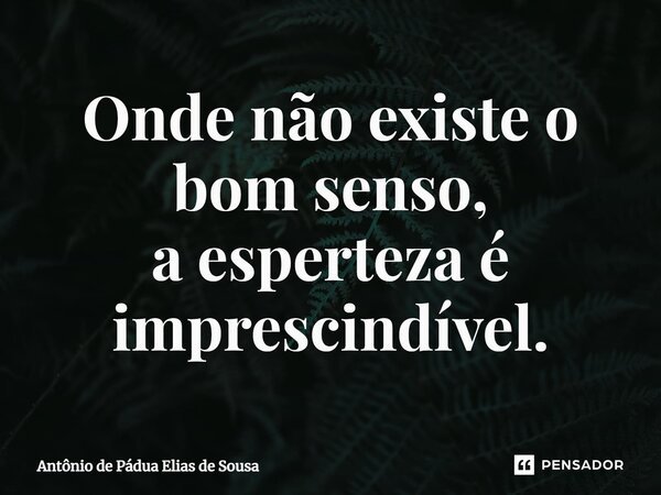 ⁠Onde não existe o bom senso, a esperteza é imprescindível.... Frase de Antônio de Pádua Elias de Sousa.