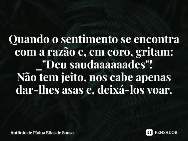 ⁠Quando o sentimento se encontra com a razão e, em coro, gritam: _"Deu saudaaaaaades"! Não tem jeito, nos cabe apenas dar-lhes asas e, deixá-los voar.... Frase de Antônio de Pádua Elias de Sousa.