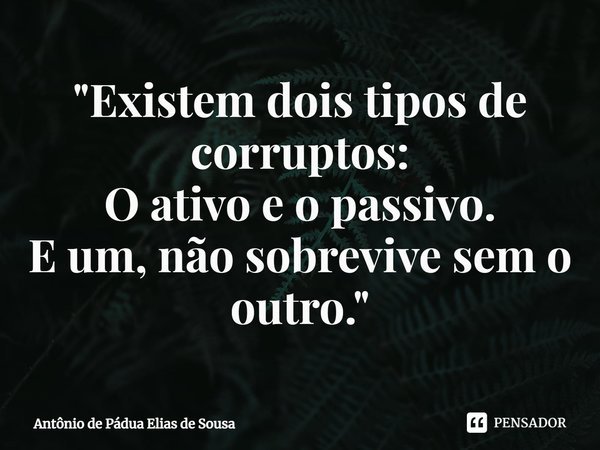 "⁠Existem dois tipos de corruptos: O ativo e o passivo. E um, não sobrevive sem o outro."... Frase de Antônio de Pádua Elias de Sousa.