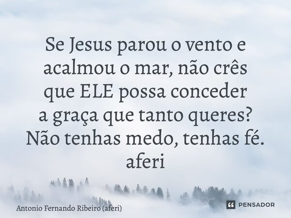 ⁠Se Jesus parou o vento e acalmou o mar, não crês que ELE possa conceder a graça que tanto queres? Não tenhas medo, tenhas fé. aferi... Frase de Antonio Fernando Ribeiro (aferi).