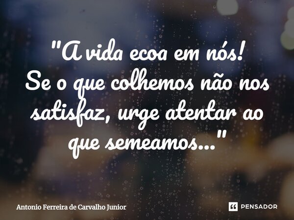 ⁠"A vida ecoa em nós! Se o que colhemos não nos satisfaz, urge atentar ao que semeamos..."... Frase de Antonio Ferreira de Carvalho Júnior.