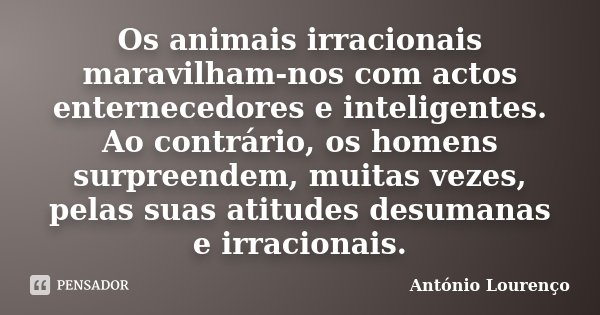 Os animais irracionais maravilham-nos com actos enternecedores e inteligentes. Ao contrário, os homens surpreendem, muitas vezes, pelas suas atitudes desumanas ... Frase de António Lourenço.