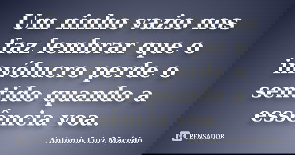 Um ninho vazio nos faz lembrar que o invólucro perde o sentido quando a essência voa.... Frase de Antonio Luiz Macêdo.