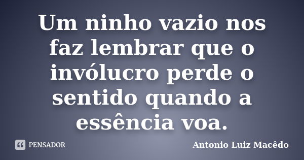 Um ninho vazio nos faz lembrar que o invólucro perde o sentido quando a essência voa.... Frase de Antonio Luiz Macêdo.