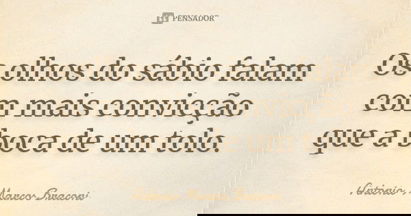 Os olhos do sábio falam com mais convicção que a boca de um tolo.... Frase de Antonio Marcos Braconi.