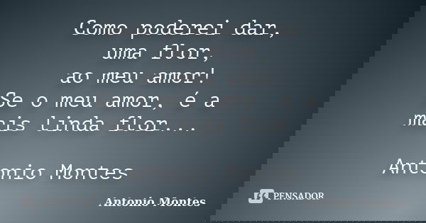 Como poderei dar, uma flor, ao meu amor! Se o meu amor, é a mais linda flor... Antonio Montes... Frase de Antonio Montes.