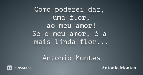 Como poderei dar, uma flor, ao meu amor! Se o meu amor, é a mais linda flor... Antonio Montes... Frase de Antonio Montes.