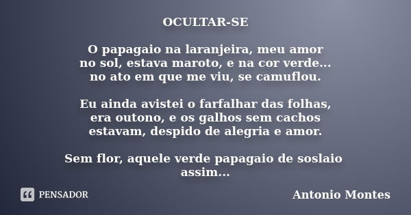 OCULTAR-SE O papagaio na laranjeira, meu amor no sol, estava maroto, e na cor verde... no ato em que me viu, se camuflou. Eu ainda avistei o farfalhar das folha... Frase de Antonio Montes.