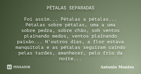 PÉTALAS SEPARADAS Foi assim... Pétalas a pétalas... Pétalas sobre pétalas, uma a uma sobre pedra, sobre chão, sob ventos plainando medos, ventos plainando paixã... Frase de Antonio Montes.