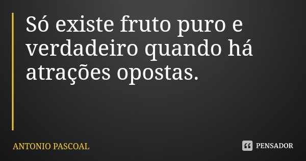 Só existe fruto puro e verdadeiro quando há atrações opostas.... Frase de ANTONIO PASCOAL.