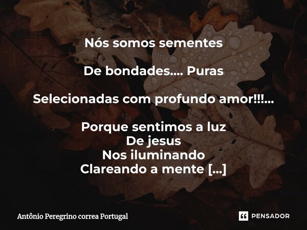 ⁠Nós somos sementes De bondades.... Puras Selecionadas com profundo amor!!!... Porque sentimos a luz De jesus Nos iluminando Clareando a mente Limpando o coraçã... Frase de Antonio Peregrino Correa Portugal.