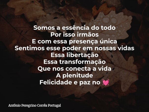 Somos a essência do todo Por isso irmãos E com essa presença única Sentimos esse poder em nossas vidas Essa libertação Essa transformação Que nos conecta a vida... Frase de Antônio Peregrino Corrêa Portugal.