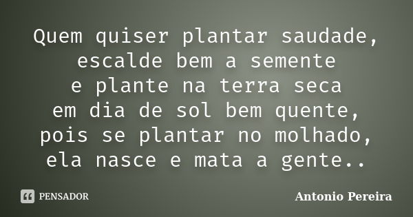 Quem quiser plantar saudade, escalde bem a semente e plante na terra seca em dia de sol bem quente, pois se plantar no molhado, ela nasce e mata a gente..... Frase de Antonio Pereira.