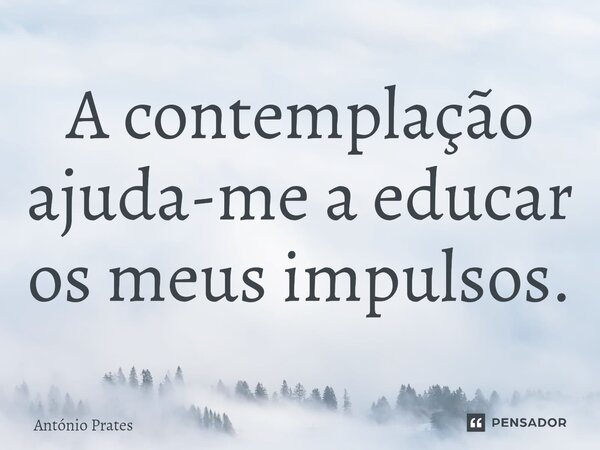 ⁠A contemplação ajuda-me a educar os meus impulsos.... Frase de António Prates.