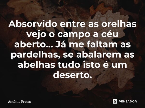 ⁠⁠Absorvido entre as orelhas vejo o campo a céu aberto... Já me faltam as pardelhas, se abalarem as abelhas tudo isto é um deserto.... Frase de António Prates.