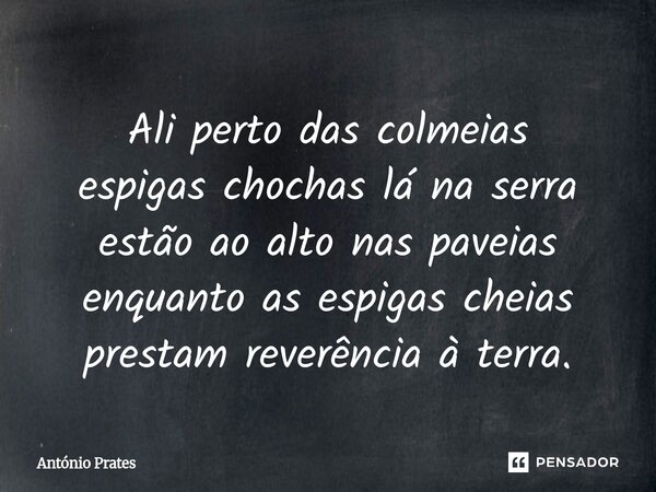 ⁠Ali perto das colmeias espigas chochas lá na serra estão ao alto nas paveias enquanto as espigas cheias prestam reverência à terra.... Frase de António Prates.