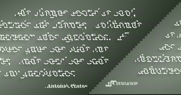 Ao longe está o sol, detrás da fonte, olhando o marear dos agiotas… E as aves que se vão no horizonte, não sei se são abutres ou gaivotas.... Frase de António Prates.