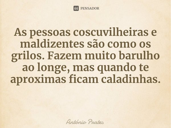 As pessoas coscuvilheiras e maldizentes são como os grilos. Fazem muito barulho ao longe, mas quando te aproximas ficam caladinhas.... Frase de António Prates.