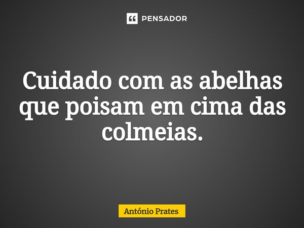 ⁠Cuidado com as abelhas que poisam em cima das colmeias.... Frase de António Prates.