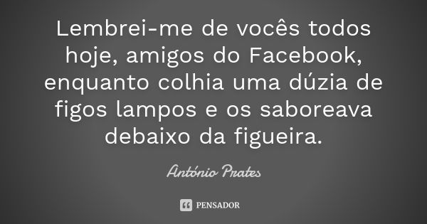 Lembrei-me de vocês todos hoje, amigos do Facebook, enquanto colhia uma dúzia de figos lampos e os saboreava debaixo da figueira.... Frase de António Prates.