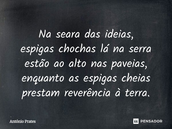 ⁠Na seara das ideias, espigas chochas lá na serra estão ao alto nas paveias, enquanto as espigas cheias prestam reverência à terra.... Frase de António Prates.