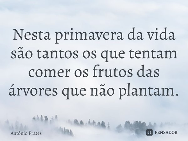 ⁠Nesta primavera da vida são tantos os que tentam comer os frutos das árvores que não plantam.... Frase de António Prates.