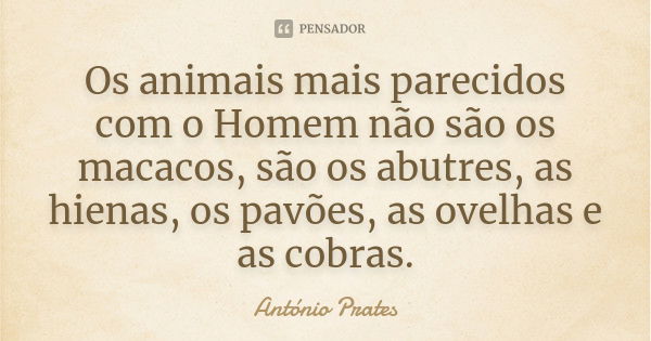 Os animais mais parecidos com o Homem não são os macacos, são os abutres, as hienas, os pavões, as ovelhas e as cobras.... Frase de António Prates.