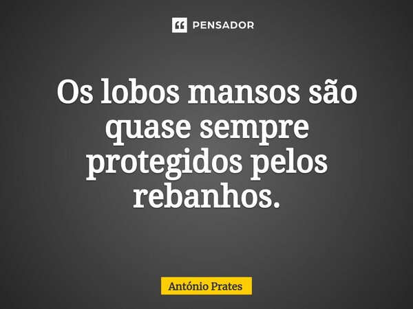 ⁠Os lobos mansos são quase sempre protegidos pelos rebanhos.... Frase de António Prates.