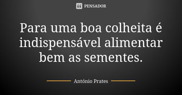 Para uma boa colheita é indispensável alimentar bem as sementes.... Frase de António Prates.