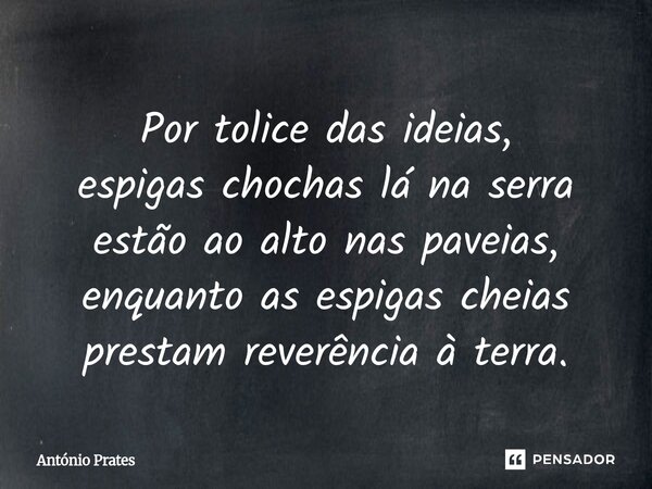 ⁠Por tolice das ideias, espigas chochas lá na serra estão ao alto nas paveias, enquanto as espigas cheias prestam reverência à terra.... Frase de António Prates.