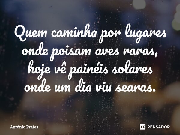 ⁠Quem caminha por lugares onde poisam aves raras, hoje vê painéis solares onde um dia viu searas.... Frase de António Prates.