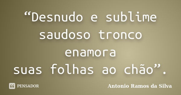 “Desnudo e sublime saudoso tronco enamora suas folhas ao chão”.... Frase de Antonio Ramos da Silva.