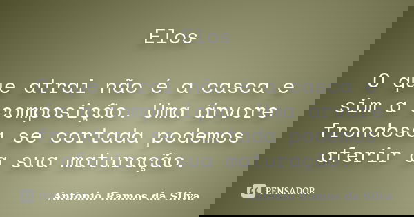 Elos O que atrai não é a casca e sim a composição. Uma árvore frondosa se cortada podemos aferir a sua maturação.... Frase de Antonio Ramos da Silva.