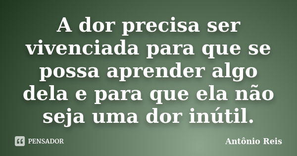 A dor precisa ser vivenciada para que se possa aprender algo dela e para que ela não seja uma dor inútil.... Frase de Antônio Reis.